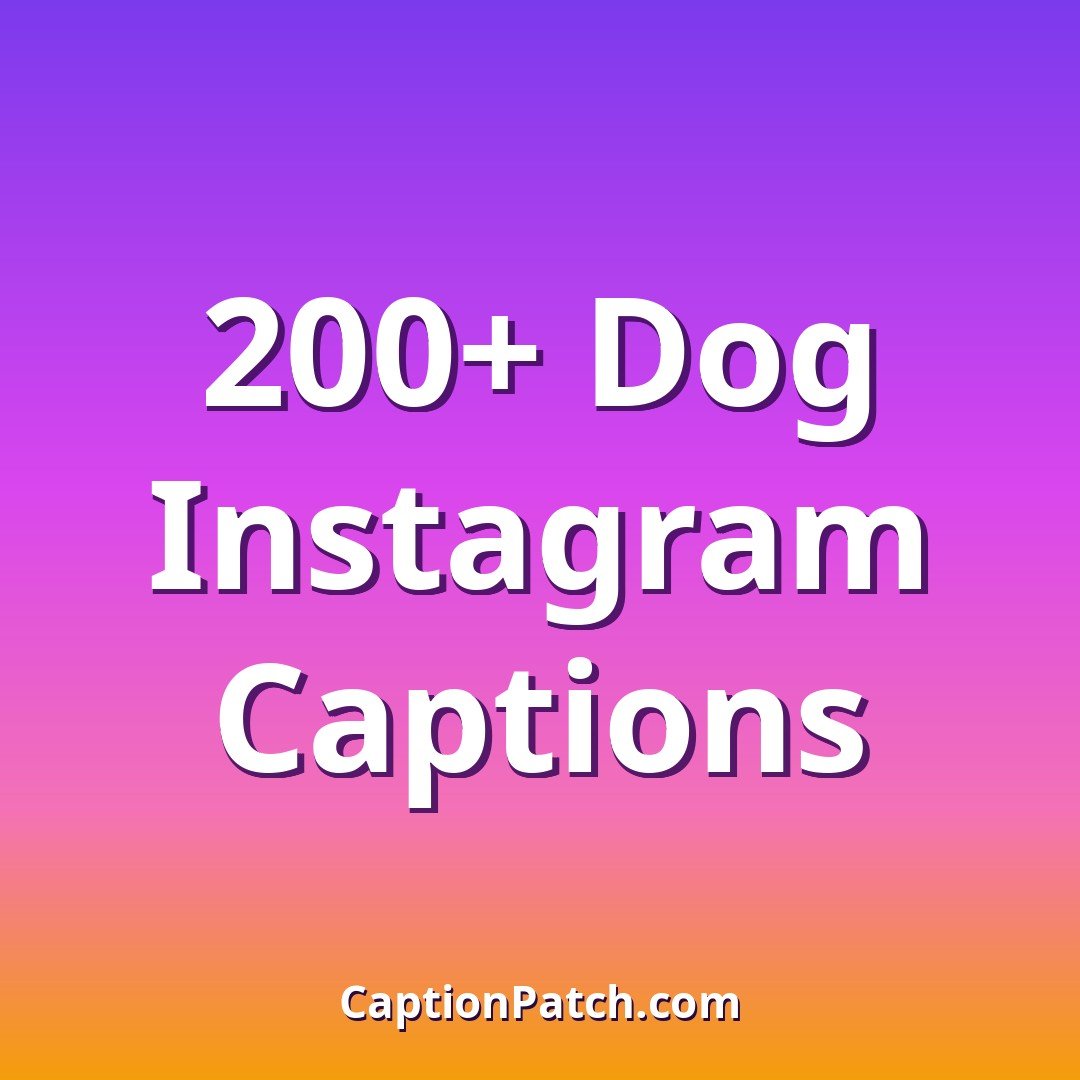 200+ Best Instagram Captions for Dogs (Cute & Funny)