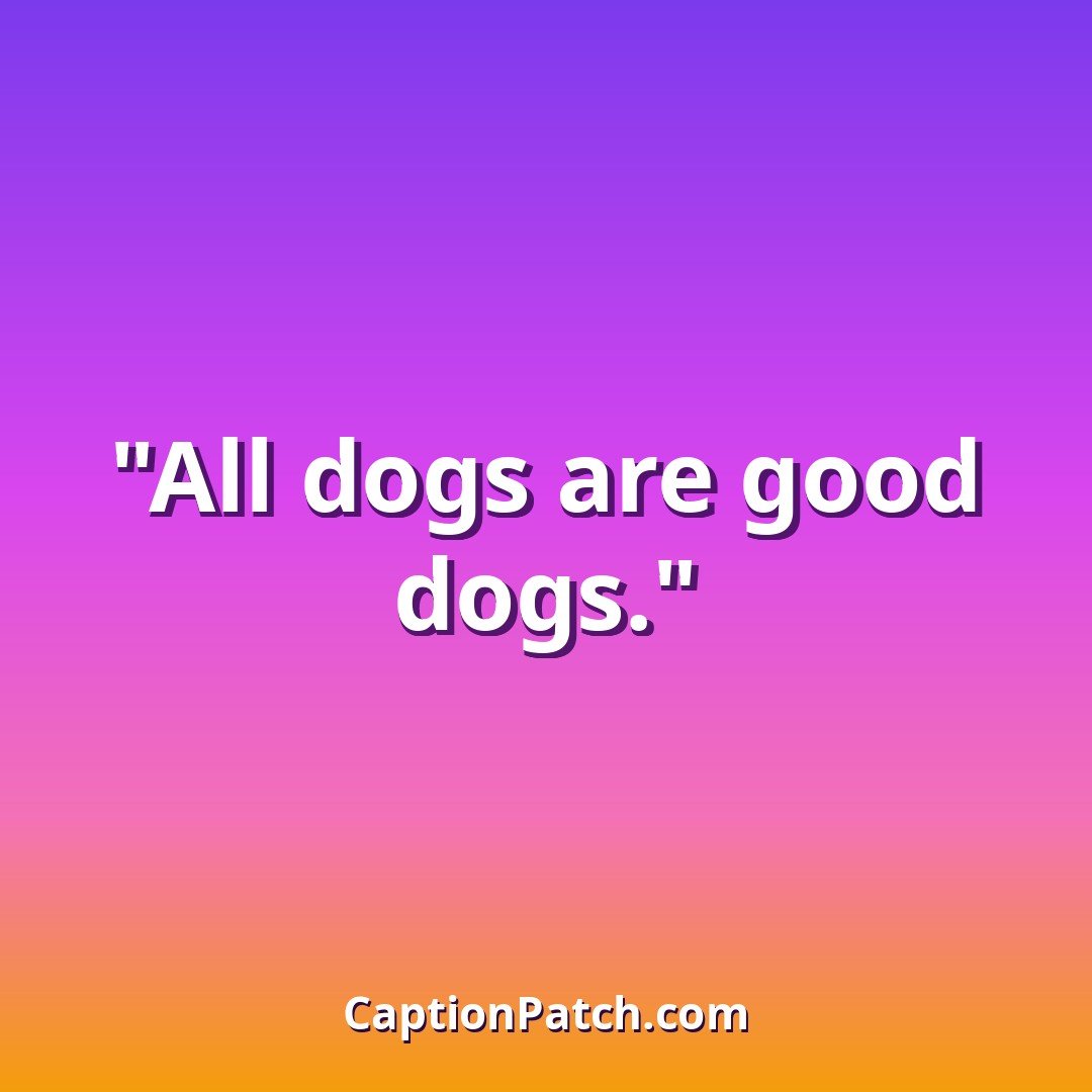 Dog lover Instagram captions caption card