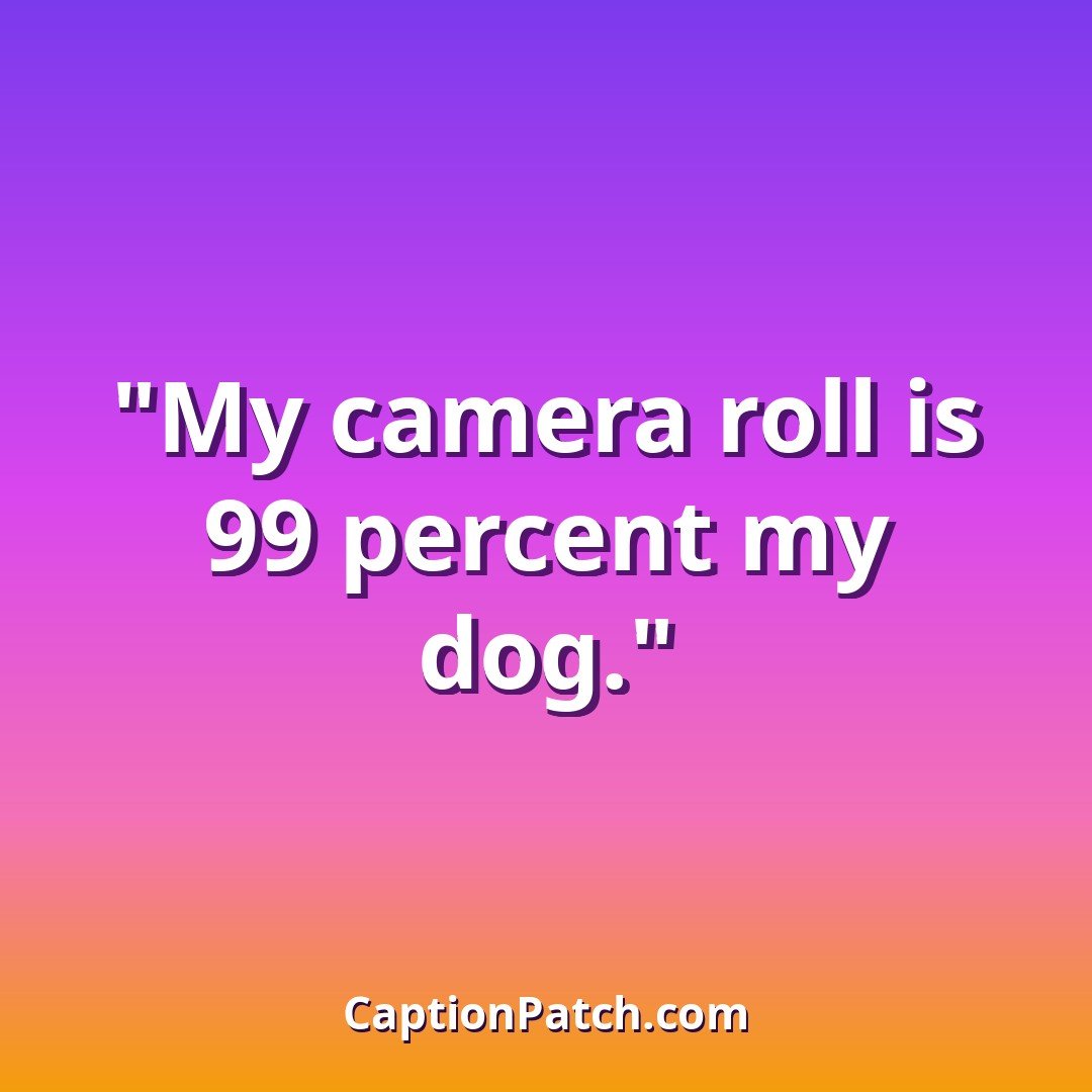 Dog mom Instagram captions caption card