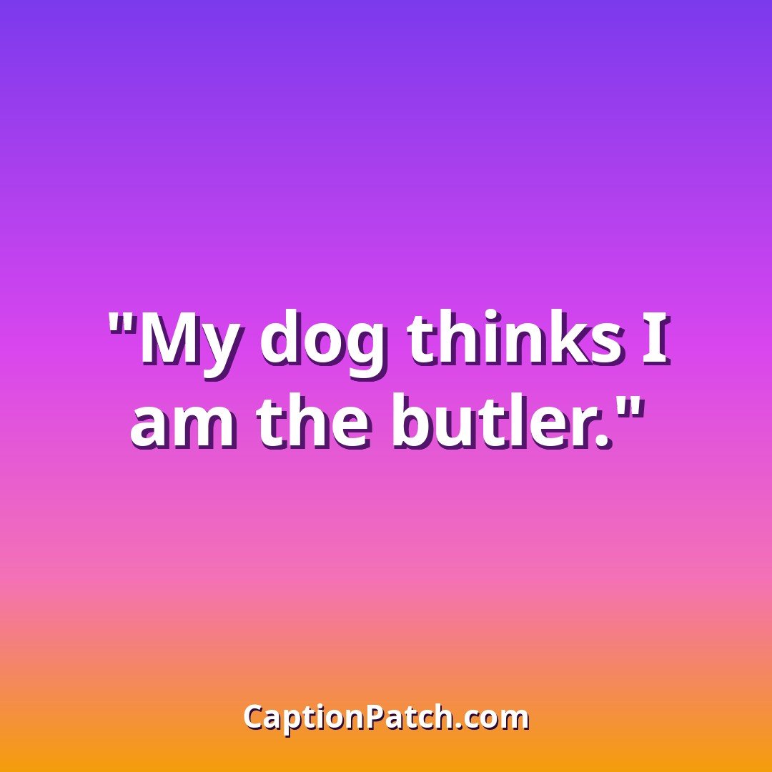 Funny dog Instagram captions caption card