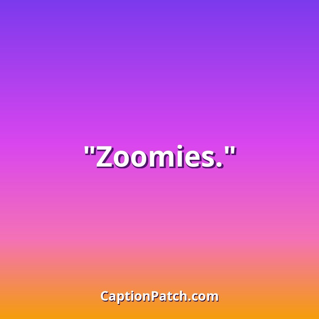 One word dog Instagram captions caption card