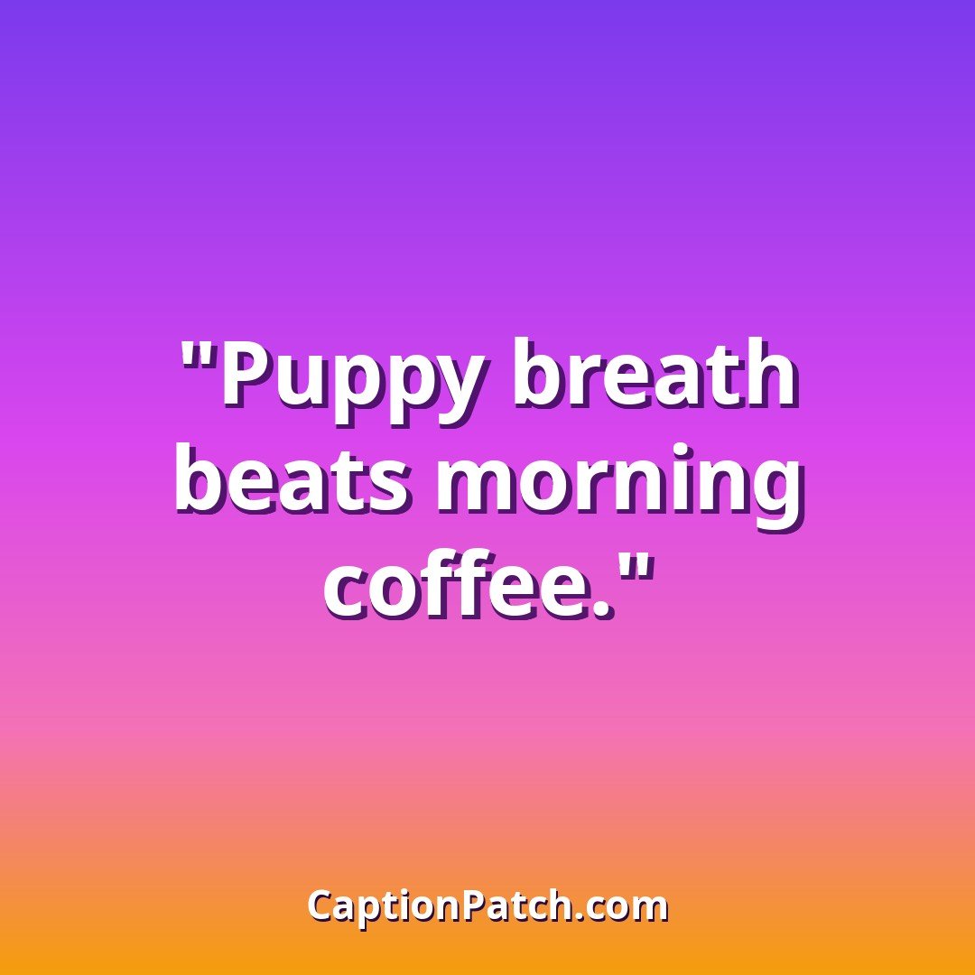 Puppy Instagram captions caption card