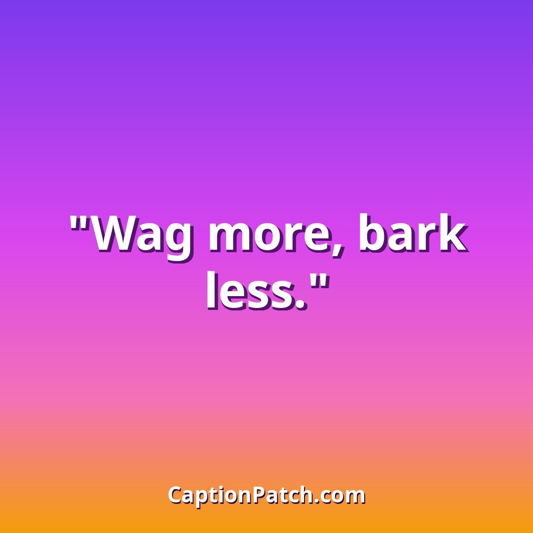 Short dog Instagram captions caption card