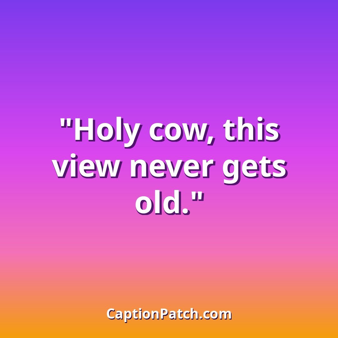 Cow farm Instagram captions caption card
