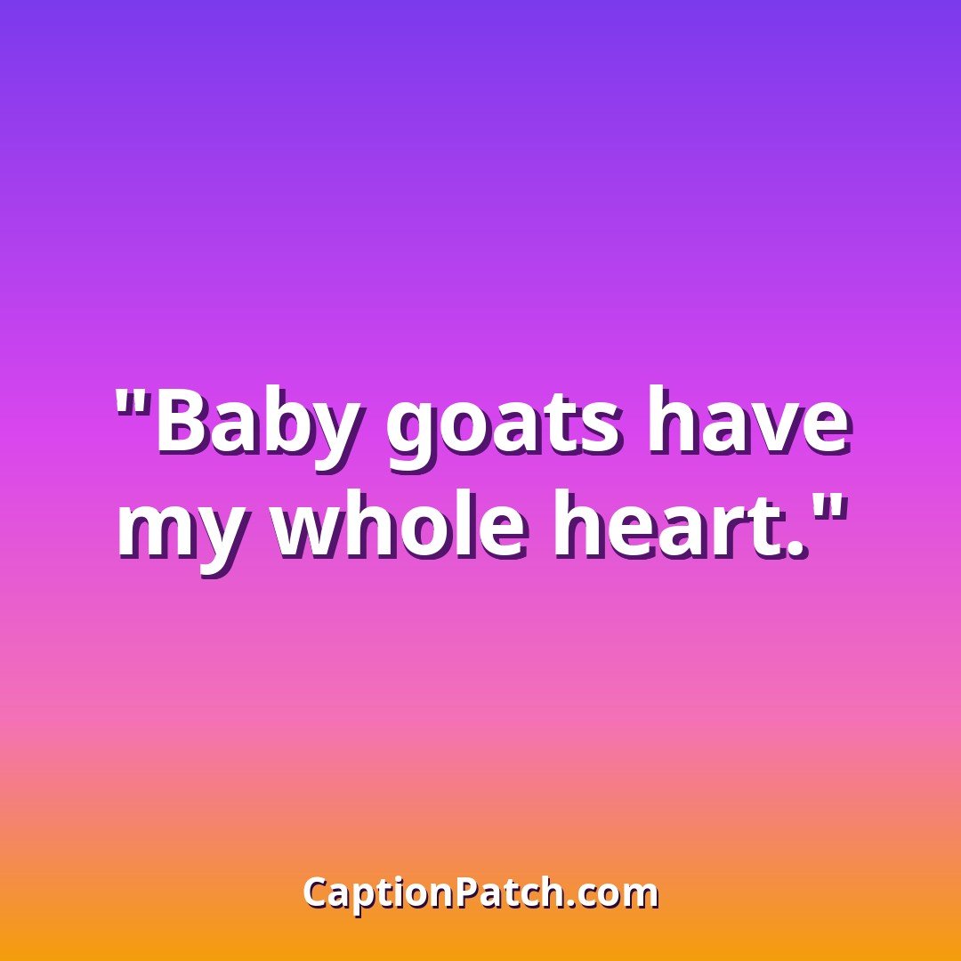 Cute farm animal Instagram captions caption card