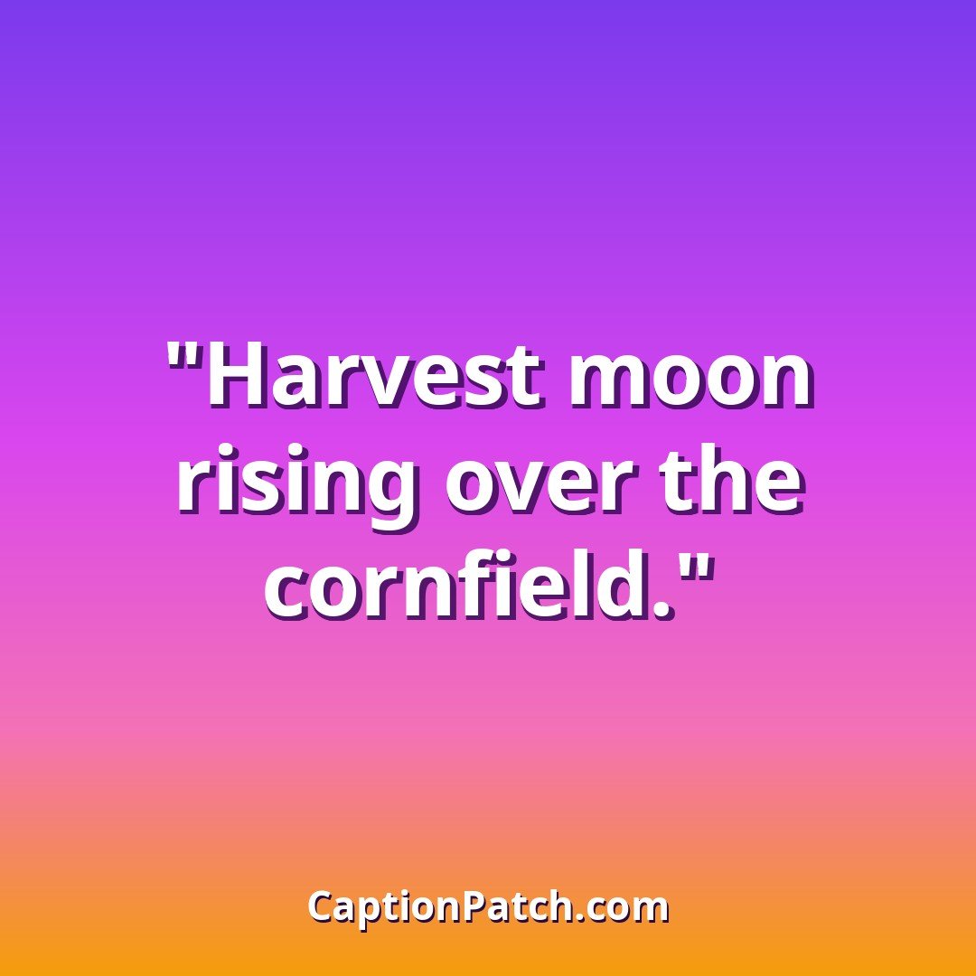 Harvest season farm Instagram captions caption card