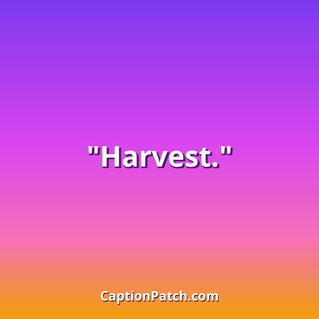 One word farm Instagram captions caption card